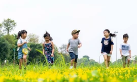 Điều chỉnh mức sinh phù hợp với các vùng, đối tượng để đảm bảo mức sinh thay thế