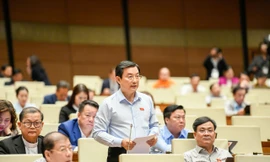 Đại biểu Quốc hội cảnh báo 'các nền tảng xuyên biên giới đang nắm quyền lực thao túng nhận thức xã hội'