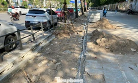 Hà Nội: 'Khoét' vỉa hè lát đá tự nhiên để lấy chỗ trồng cây hoa, thảm cỏ