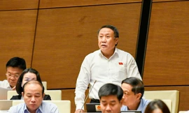 Đại biểu Quốc hội kiến nghị 'không quá cứng nhắc' quy định thiết bị an toàn cho trẻ em trên ô tô