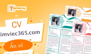 CV timviec365.com - Ẩn số cần được giải đáp về “cơ hội vàng”