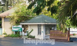 Sai phạm khiến nguyên Phó Chánh Văn phòng Thành uỷ TPHCM bị khởi tố