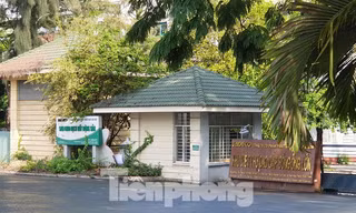 Sai phạm khiến nguyên Phó Chánh Văn phòng Thành uỷ TPHCM bị khởi tố