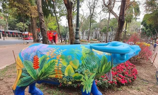 Trâu diễn phố tại bờ hồ Hoàn Kiếm