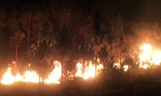 Rừng thông trên núi Đại Bình cháy dữ dội