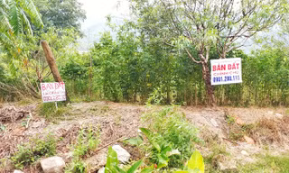 Vân Đồn 'quay cuồng' trong cơn sốt đất