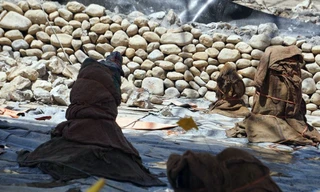 Cận cảnh cọc gỗ tại bãi cọc Cao Quỳ, xã Liên Khê (Thủy Nguyên, Hải Phòng).