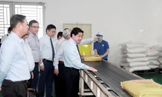 1.600 tấn gạo 'lên đường' sang Singapore và Malaysia