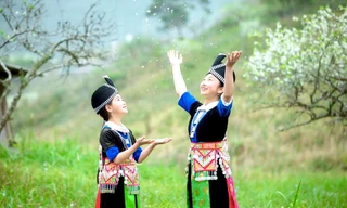 Thiếu nữ khoe sắc bên hoa mận nở trắng muốt nơi cổng trời đẹp như tranh