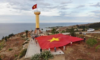 Tiền Phong Marathon 2020: Chạy giữa đại dương 