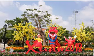 Xứ “Công tử Bạc Liêu” rộn ràng đón Xuân mới
