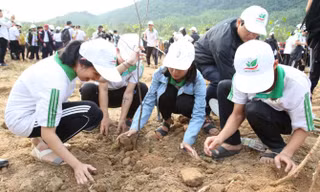 Hơn 300 vận động viên tham gia giải chạy "Vì một Việt Nam xanh"