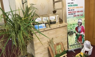 Hơn 30 dự án tham gia vòng bán kết cuộc thi khởi nghiệp 2019