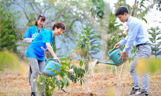 Tết trồng cây hưởng ứng chương trình Vì một Việt Nam xanh