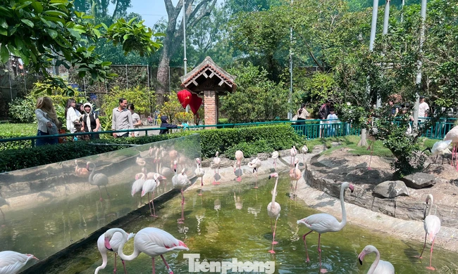 Thảo Cầm Viên Sài Gòn chật kín người du xuân