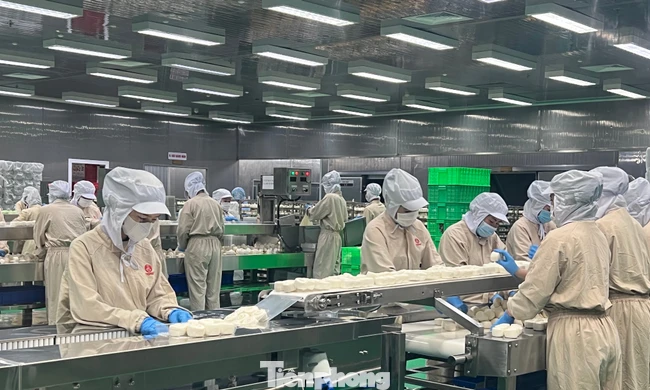 Chìa khóa 'thoát hiểm' giữa bão chi phí