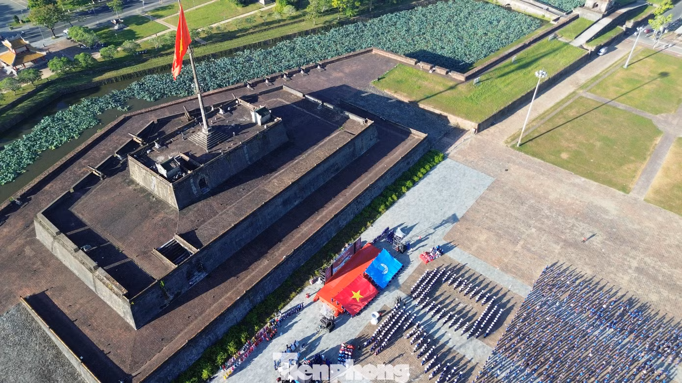 tp-c_dji-0342.jpg