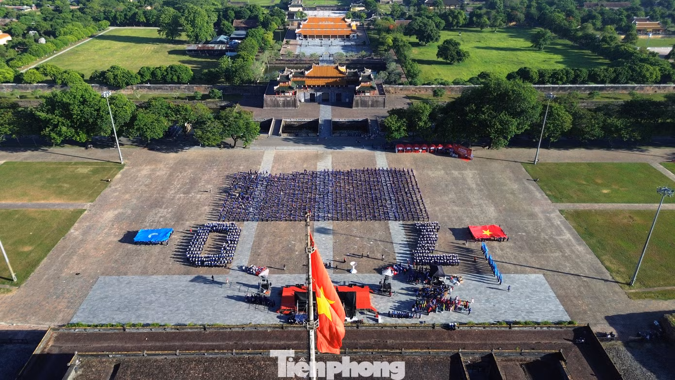 tp-c_dji-0363.jpg