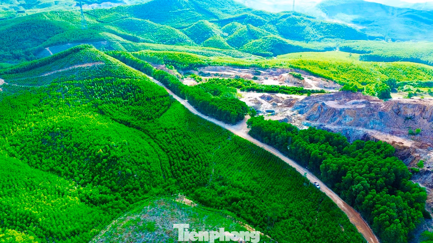 tp-9-3-tinh-lo-16.jpg