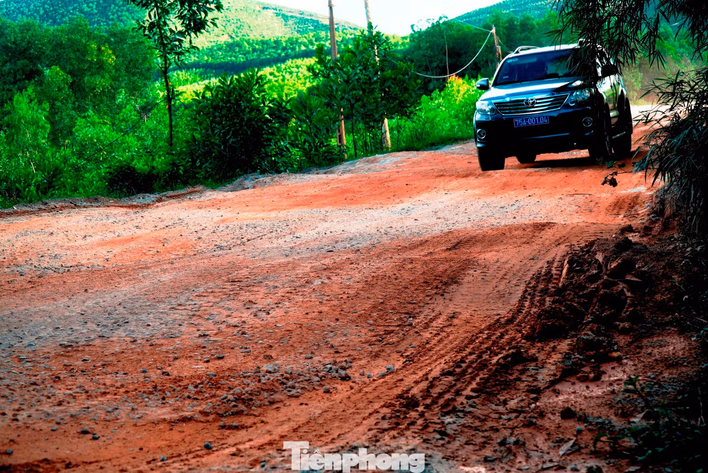 tp-9-2-tinh-lo-16.jpg