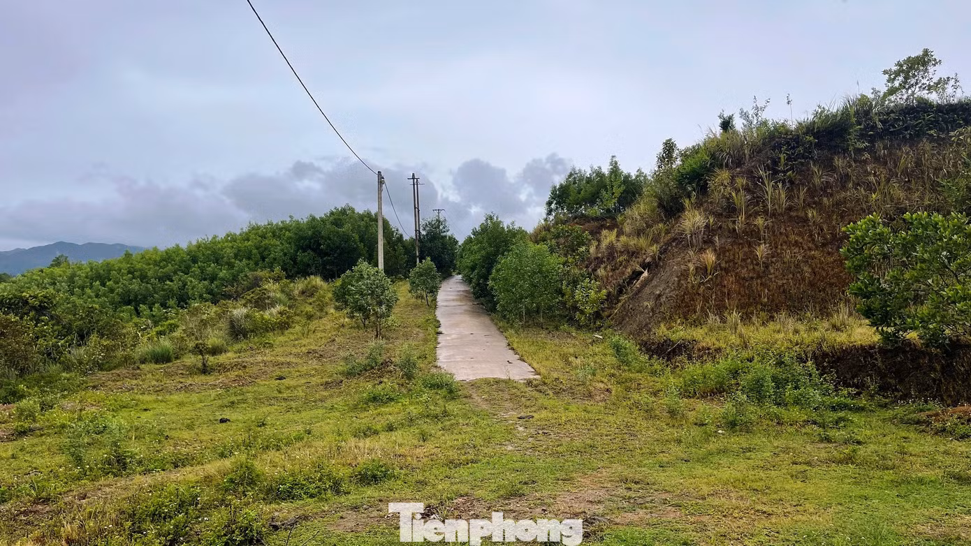 tp-c_2-tai-dinh-cu-a-luoi.jpg
