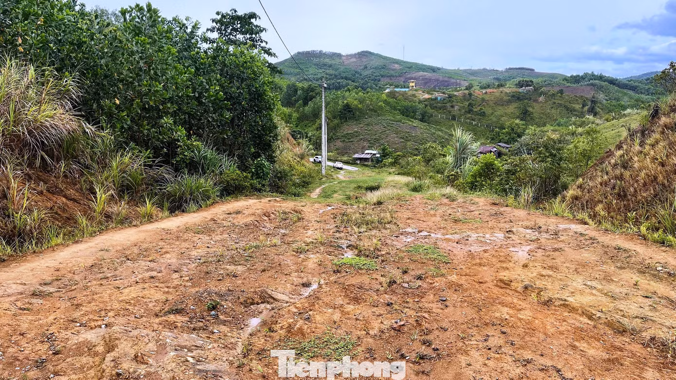 tp-c_4-tai-dinh-cu-a-luoi.jpg