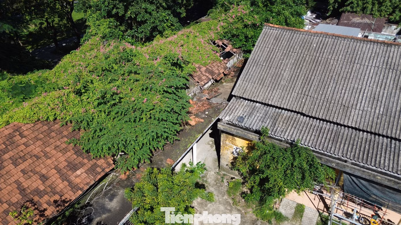 tp-c_7-goc-toi-quoc-tu-giam.jpg