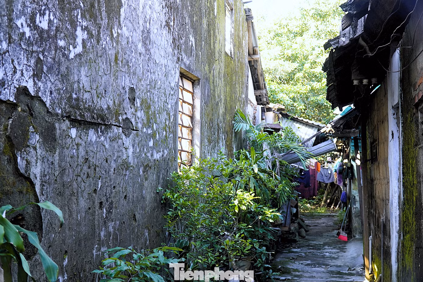 tp-c_5-goc-toi-quoc-tu-giam.jpg