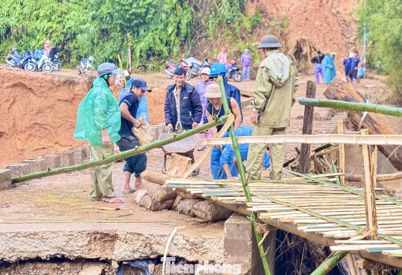 tp-3007.jpg