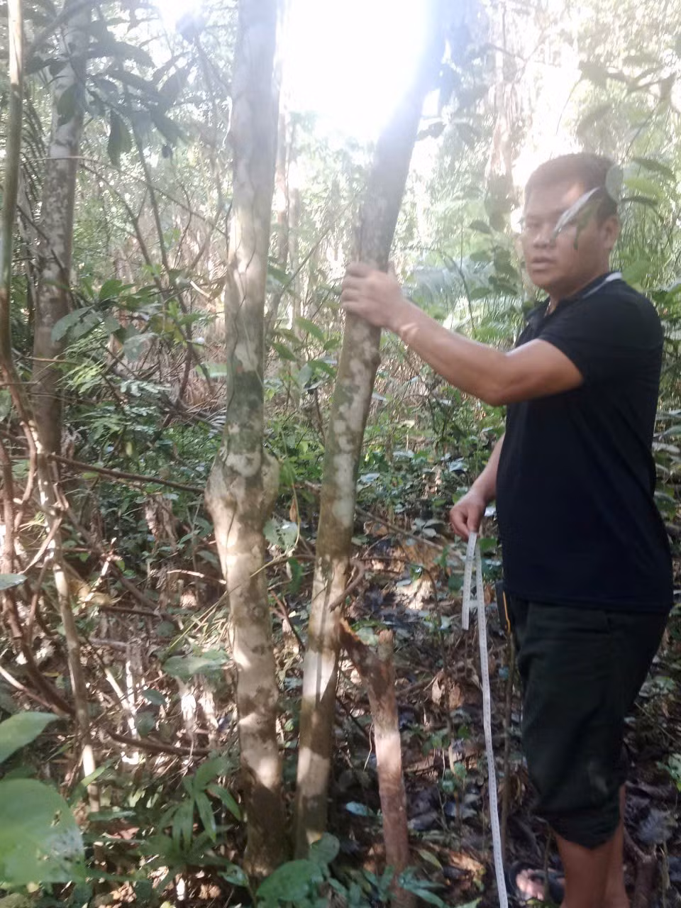 che-shan-o-cha-linh-mu-nu.png