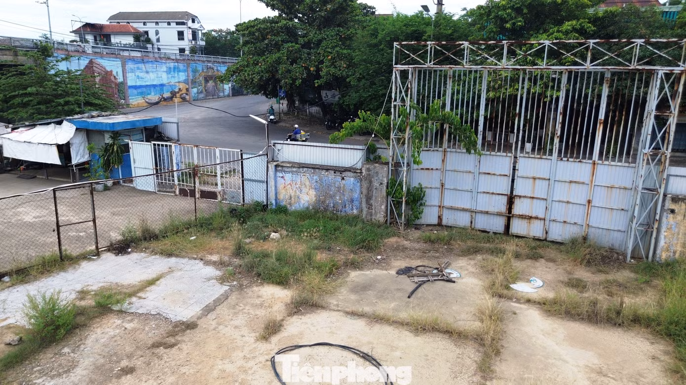 tp-c_dji-0065.jpg