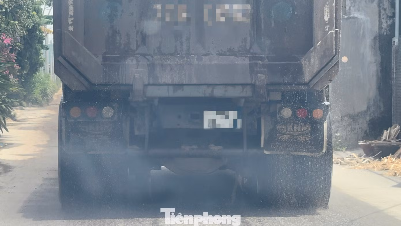 tp-5197.jpg
