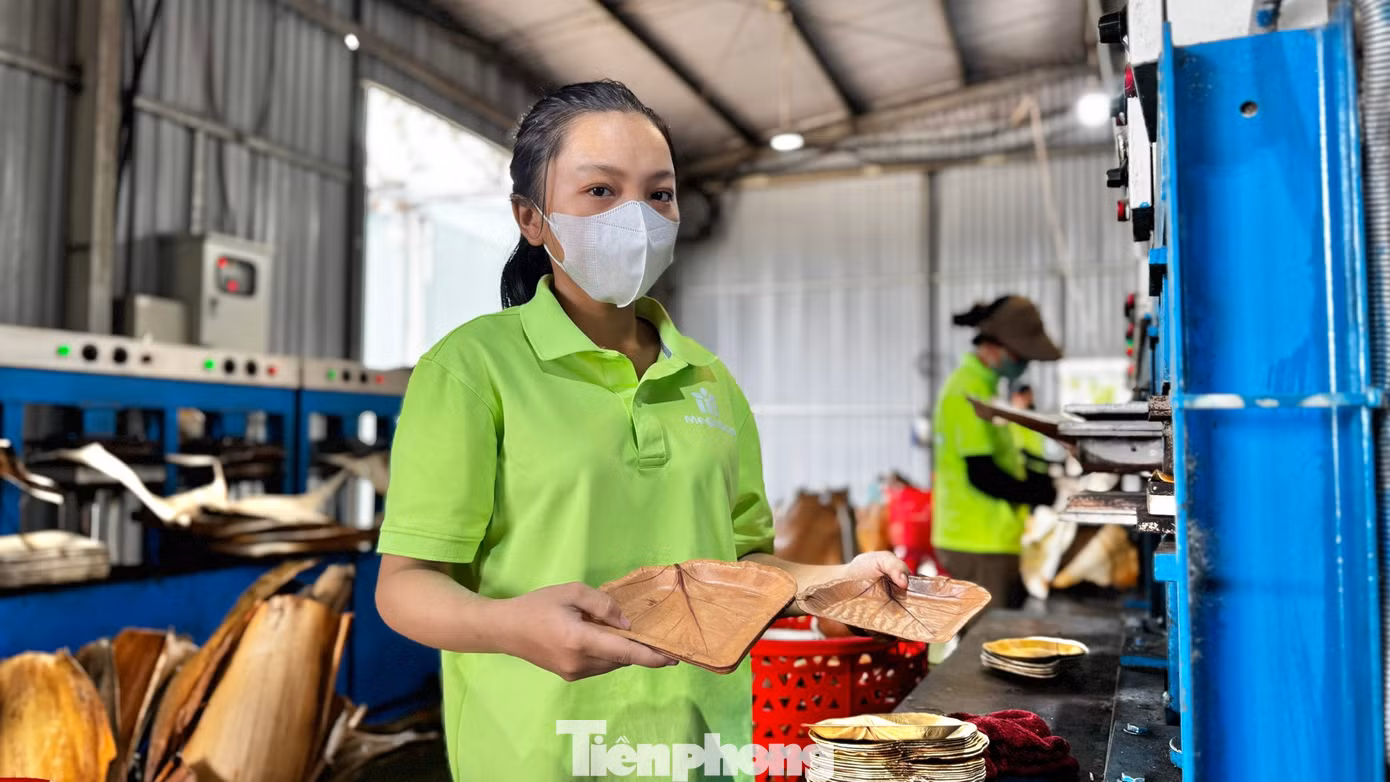 tp-c_9a0f83dc394eb810e15f.jpg