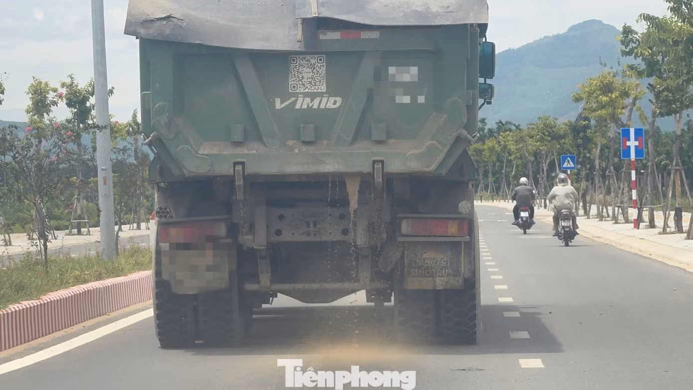 tp-5196.jpg