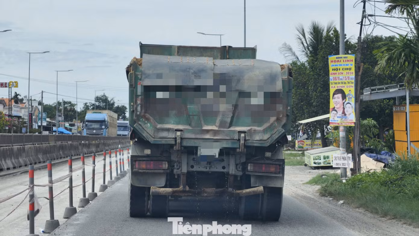 tp-5205.jpg