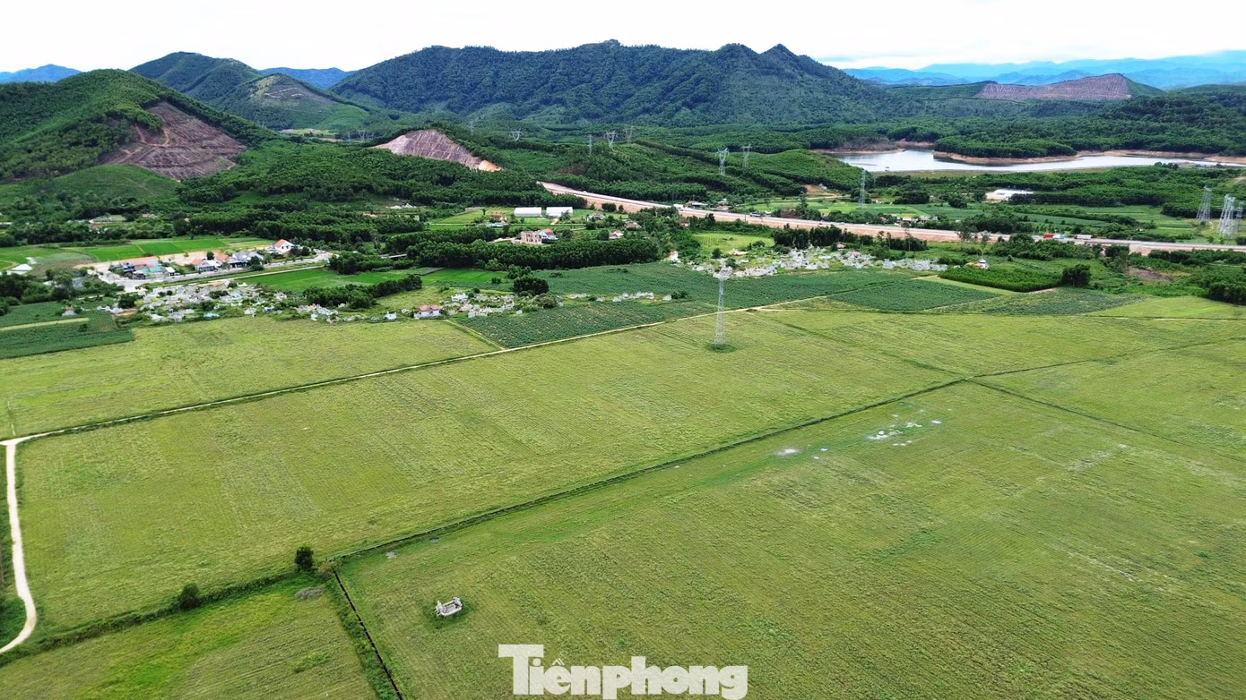 tp-c_6-cum-cn-huong-xuan.jpg