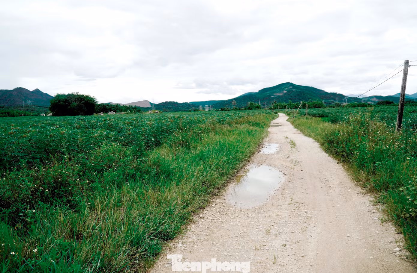 tp-c_2-cum-cn-huong-xuan.jpg