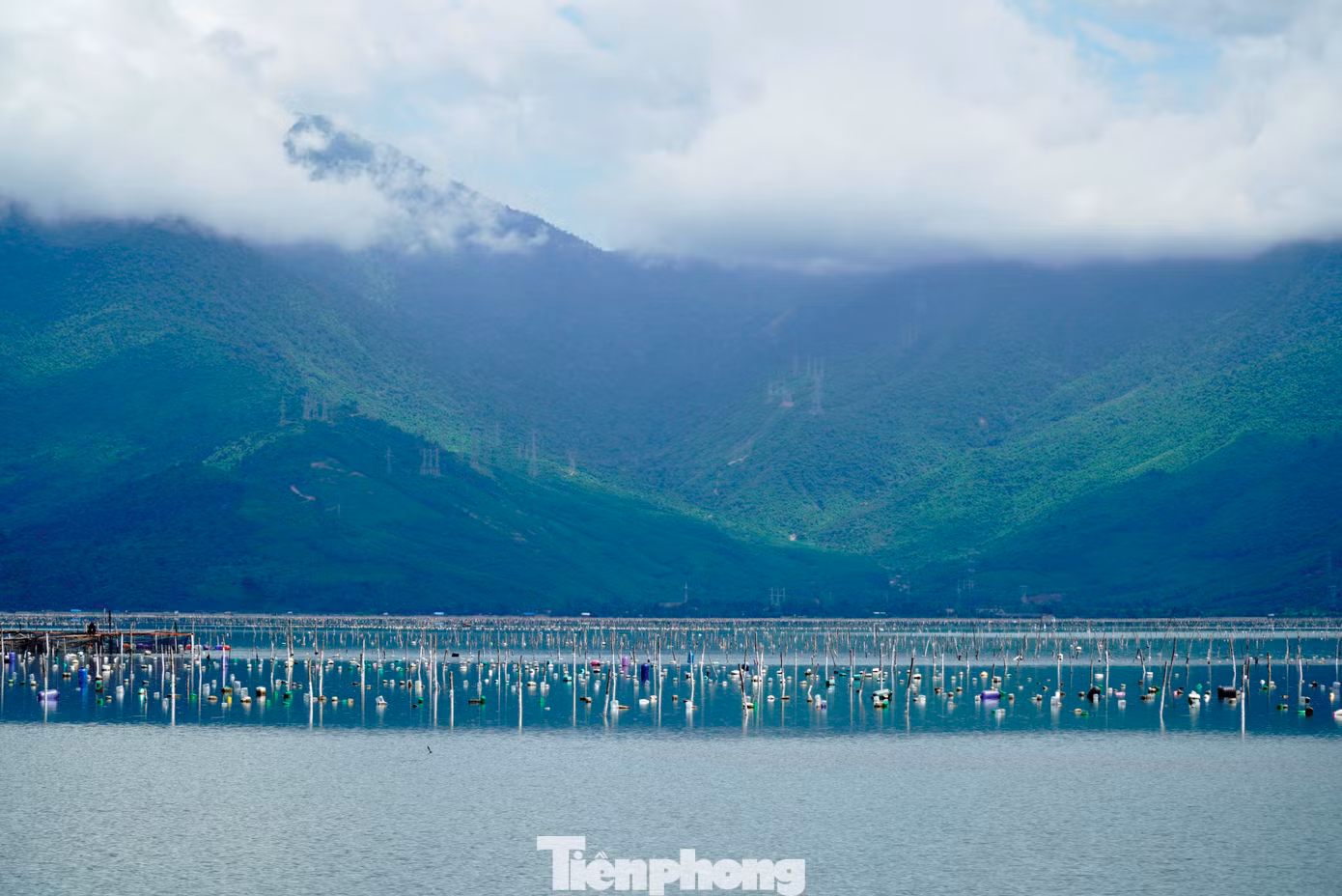 tp-4-dam-lap-an-2.jpg
