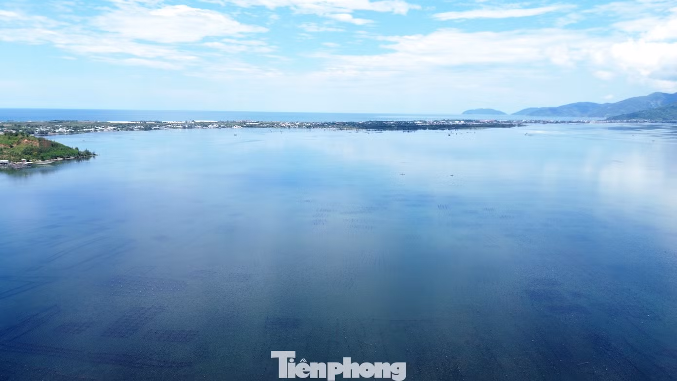 tp-c_1-dam-lap-an.jpg