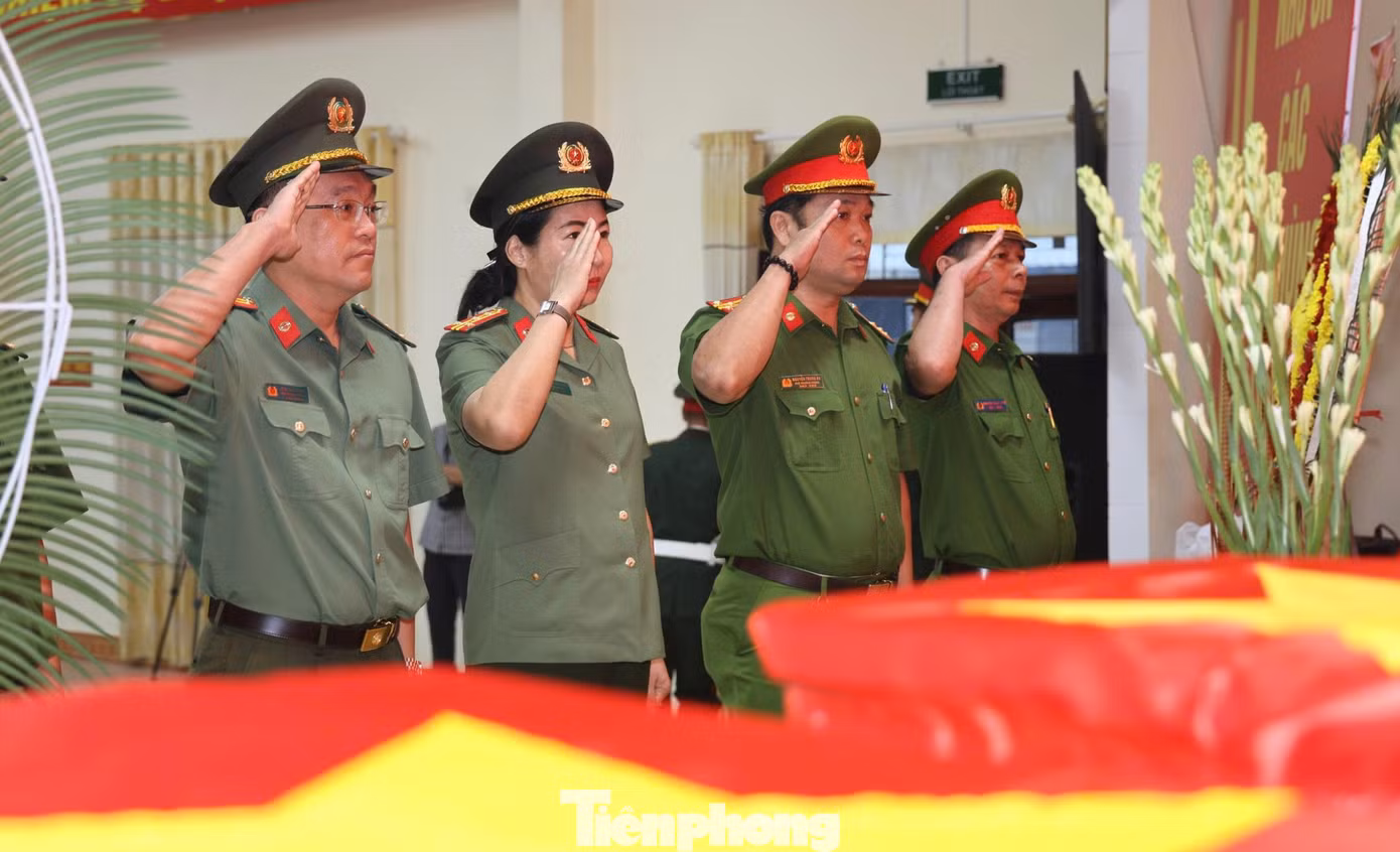tp_2276-9539.jpg