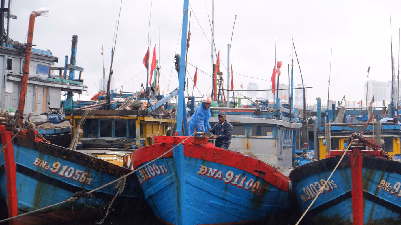 dscf5195.jpg