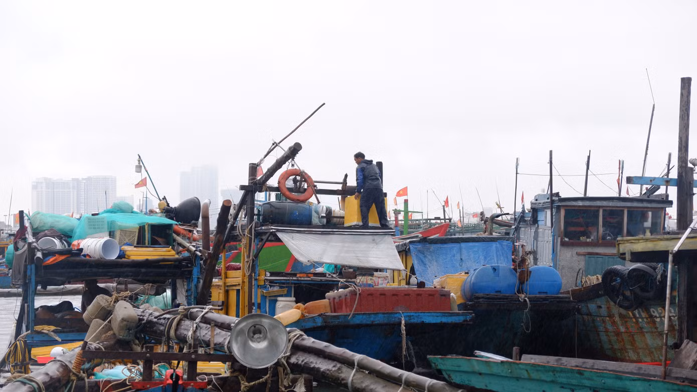 dscf5170.jpg