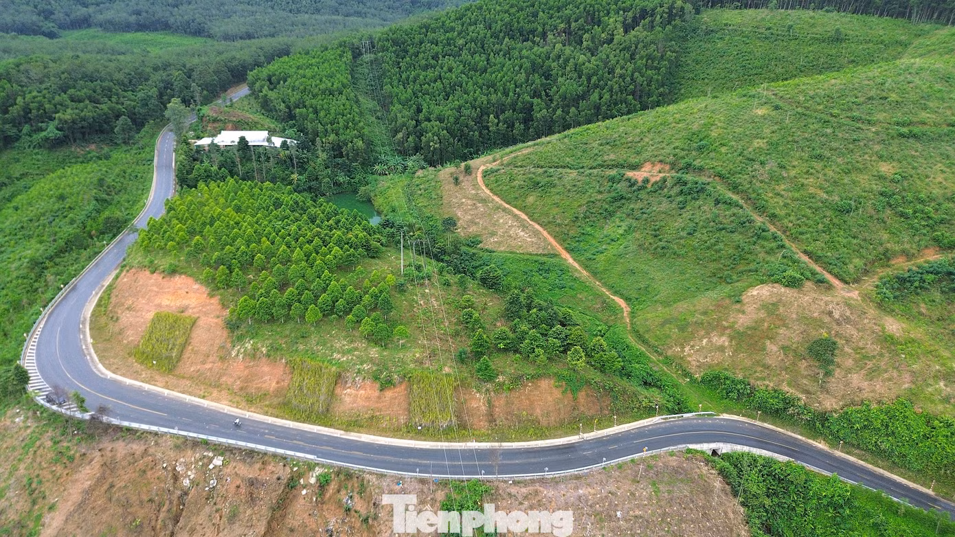 tp-3-quoc-lo.jpg