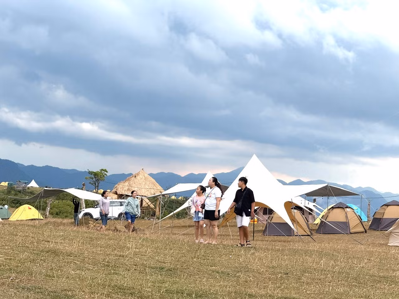 8845dd6add3655680c27.jpg