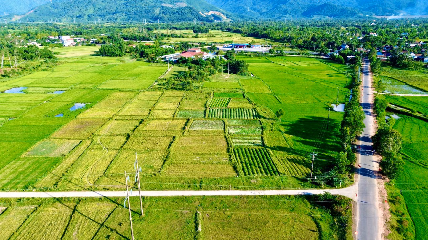 1-tai-dinh-cu-duong-sat-toc-do-cao.jpg