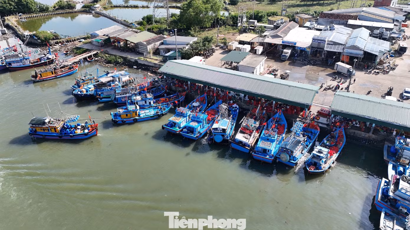tp-c_anh-4-69.jpg