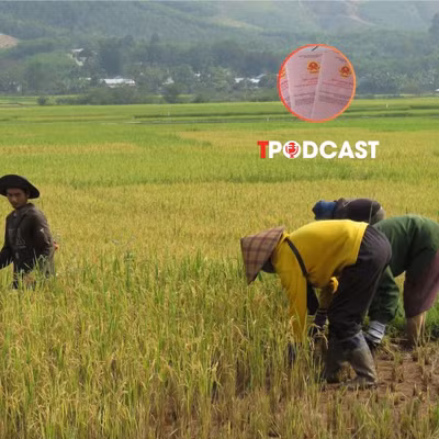 Thu hồi đất nông nghiệp đứng tên chồng, vợ có được hỗ trợ?