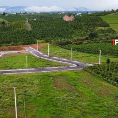 Chuyển mục đích một phần thửa đất có phải tách thửa?