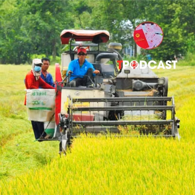 Sử dụng đất sai mục đích, khi bị thu hồi có được bồi thường cây trồng vật nuôi?