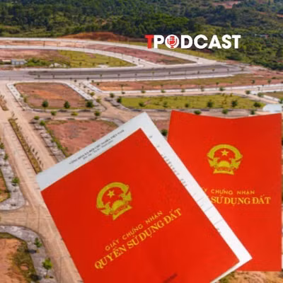 Điều kiện bồi thường khi chưa hoàn tất thủ tục chuyển nhượng đất